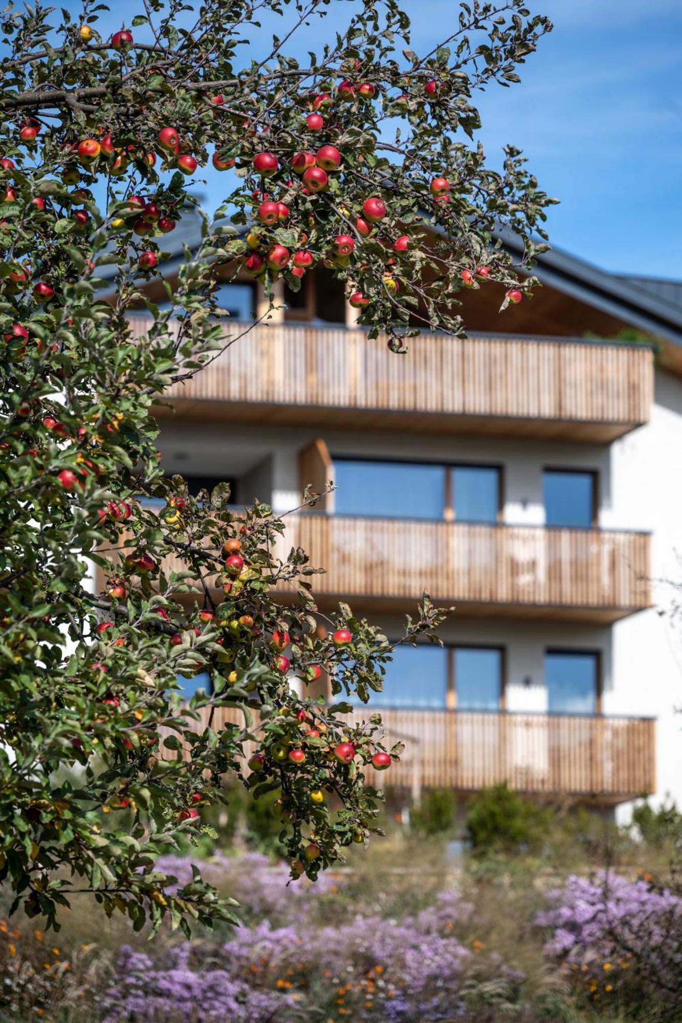 Oberfallerhof Oi Apartment Barbiano (Trentino Alto Adige)